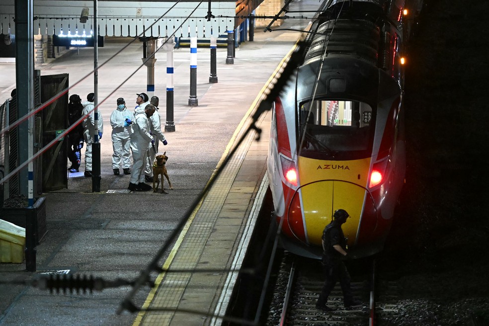 Policiais e adestrador de cães trabalham na plataforma ao lado de um trem na Estação Huntingdon, no leste da Inglaterra, em 1º de novembro de 2025, após um ataque a facas — Foto: Justin Tallis/AFP