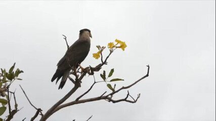 Começa a conferência sobre mudanças climáticas