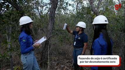 Fazenda de soja é certificada por ter desmatamento zero