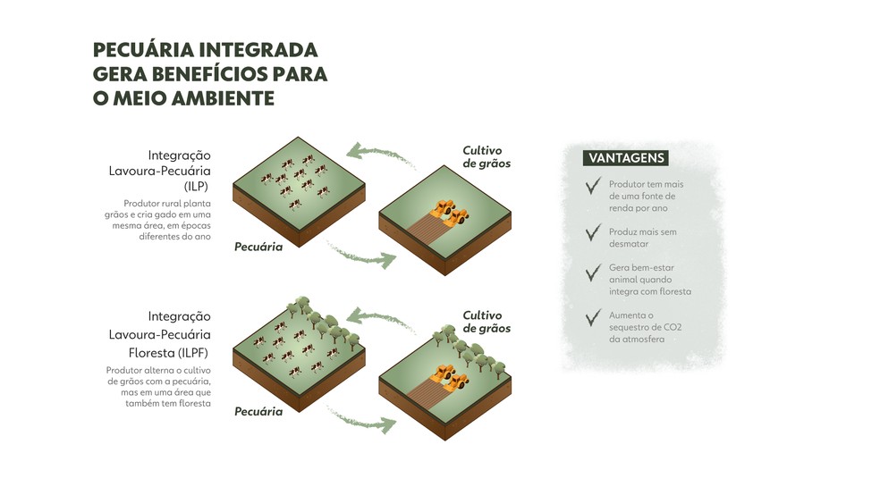 Pecuária integrada gera benefícios para o meio ambiente - Desktop — Foto: Bruna Azevedo e Luisa Rivas | Arte g1