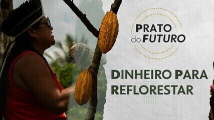 Como indígenas usam financiamento do governo para montar agroflorestas