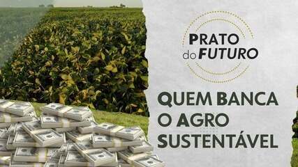 Financiamento climático: quem banca o agro sustentável