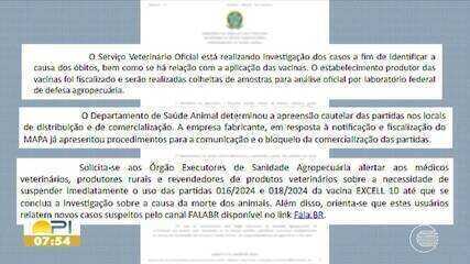 Ministério da Agricultura suspende utilização da vacina Excell 10