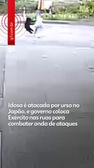 Idosa é atacada por urso no Japão, e governo coloca Exército para combater ataques