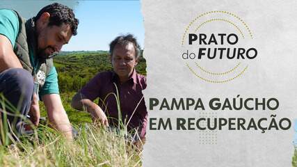 Os guardiões do campo nativo: como pequenos pecuaristas estão regenerando o Pampa