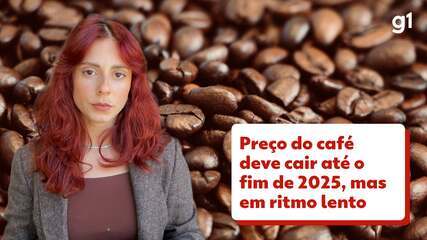 Preço do café deve cair até o fim do ano, mas em ritmo lento; entenda