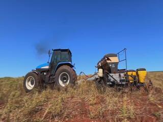 Plantio do milho segunda safra avança com chegada de chuvas
