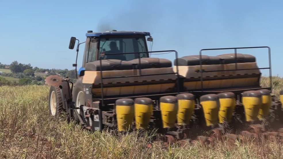 É época da safra do milho — Foto: Reprodução/TV TEM