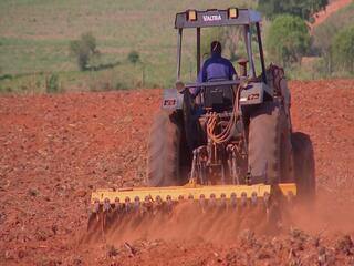 Reforma de pastagem ajuda a aumentar os ganhos com o rebanho