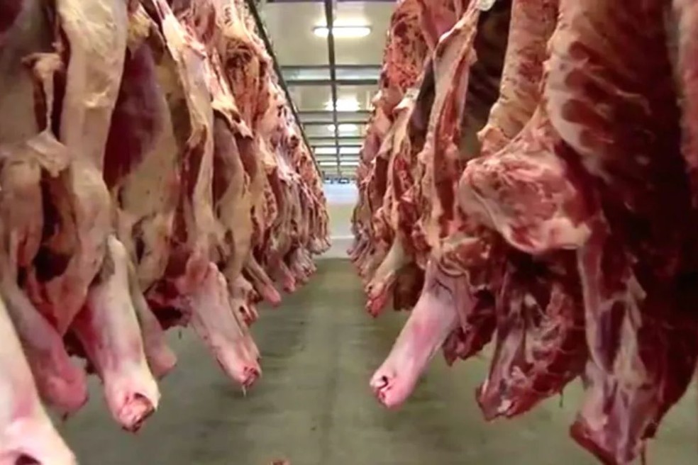 MAPA suspendeu a autorização do frigorífico da JBS em Campo Grande para exportar para os EUA. — Foto: Reprodução/TV Morena