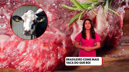 Brasileiro come mais vaca que boi: abate de fêmeas superou o de machos pela primeira vez