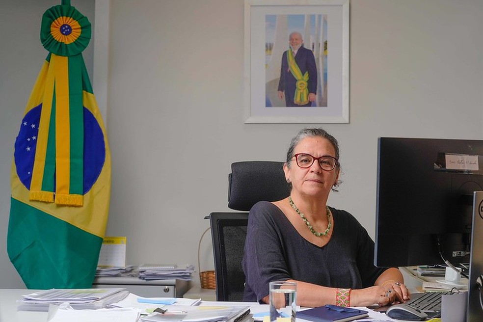 A secretária nacional de Biodiversidade, Florestas e Direitos Animais do Ministério do Meio Ambiente, Rita Mesquita. — Foto: Divulgação/MMA