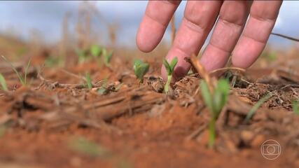 Chuvas intensas e secas prolongadas prejudicaram agricultura este ano
