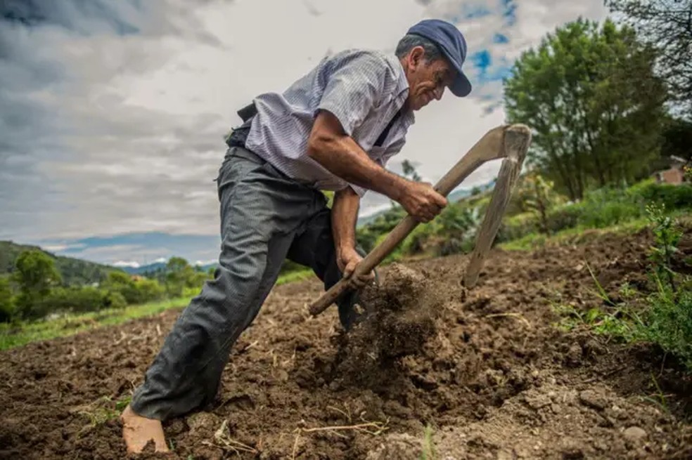O crescimento da produção agrícola encareceu a água e a mão de obra para pequenos agricultores — Foto: Ernesto Benavides / Getty Images