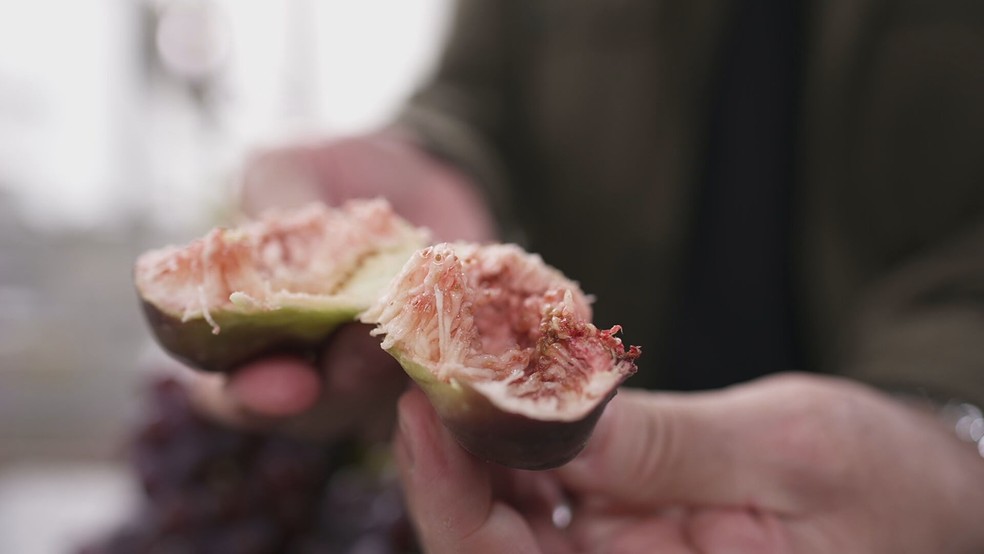 Valinhos (SP): orgulho do figo roxo — Foto: Reprodução/TV Globo