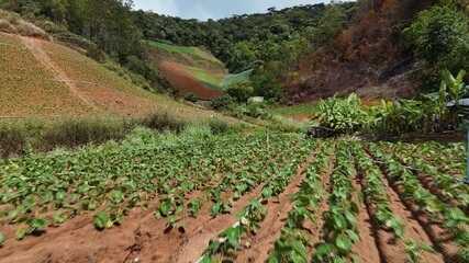 Globo Repórter - 05.12.2025
