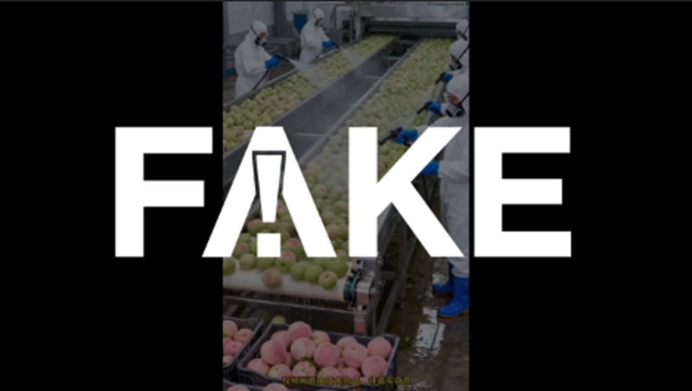 É #FAKE vídeo que mostra frutas sendo tingidas artificialmente em fábrica na China; cena foi criada com IA — Foto: Reprodução