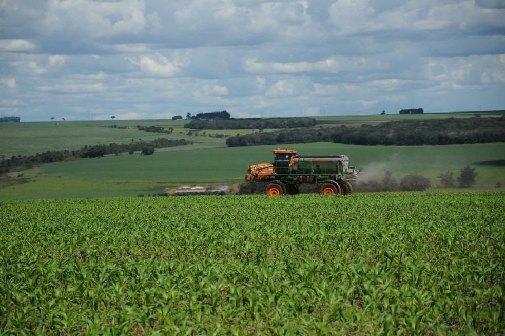 Produção de soja em Rio Verde (GO) — Foto: Acervo