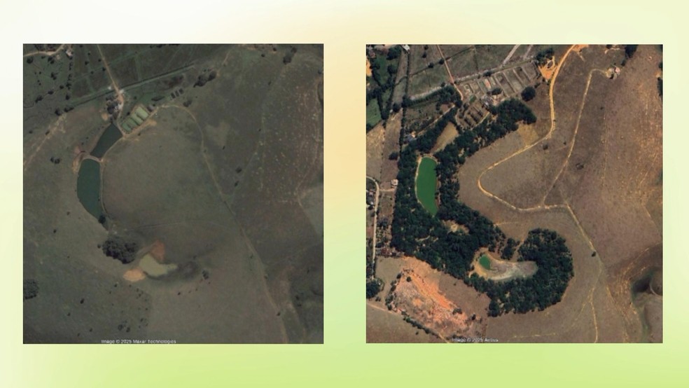 Propriedade de Anchieta, Sul do ES, recuperou mais 12 hectares de reserva — Foto: Reprodução/TV Gazeta