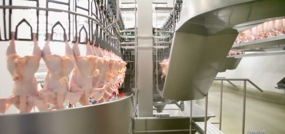 Preços da carne de frango registram altas com menor disponibilidade interna — Foto: Reprodução