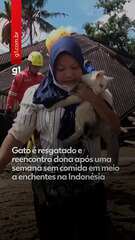 Gato é resgatado e reencontra dona em meio a enchentes na Indonésia
