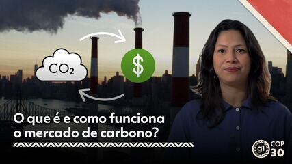 O que é e como funciona o mercado de carbono?