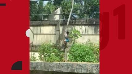 Homem é morto por leoa após entrar em jaula em zoológico de João Pessoa