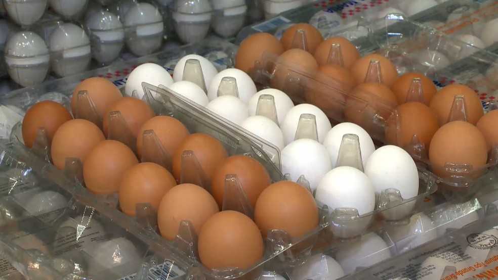Produtor de ovos registra menor poder de compra — Foto: Reprodução/TV Gazeta