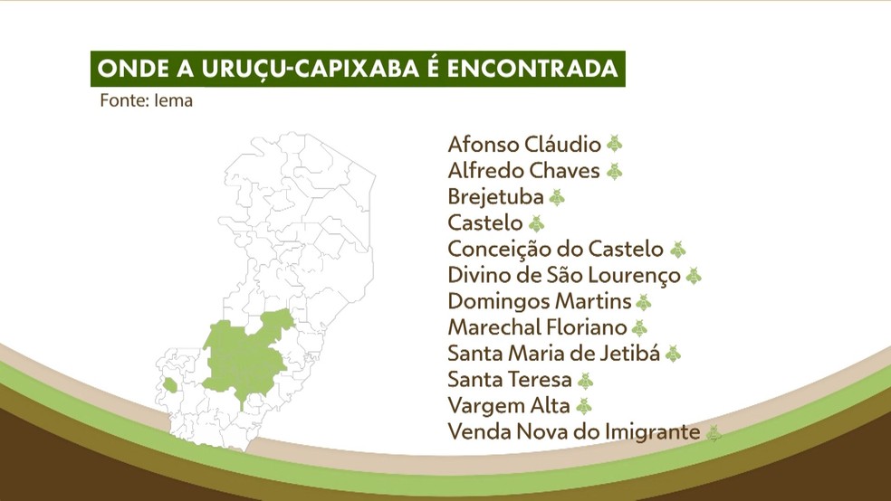 Municípios onde a uruçu-capixaba é encontrada no Espírito Santo — Foto: Arte/g1