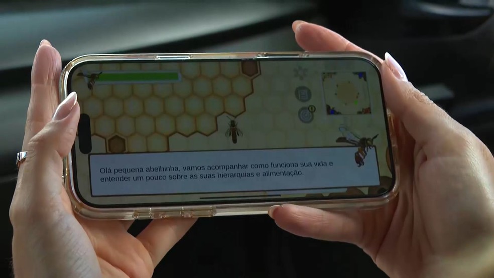 Tecnologia é aliada dos pesquisadores para ajudar na educação ambiental e na preservação da uruçu-capixaba, espécie de abelha sem ferrão exclusiva do Espírito Santo — Foto: TV Gazeta