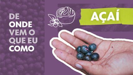g1 explora a rota do açaí desde floresta na Amazônia até fábrica em SP