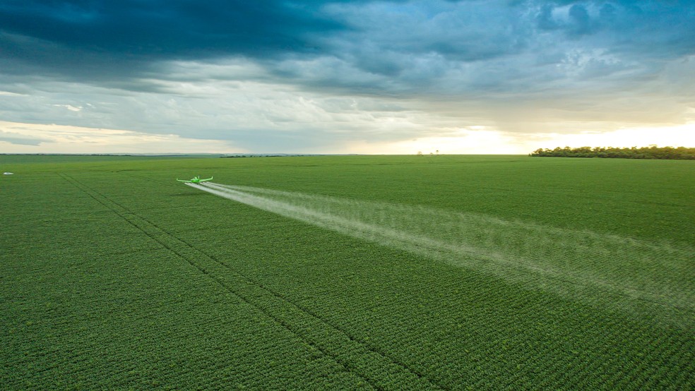 Plantação de milho em Luís Eduardo Magalhães, no oeste da Bahia — Foto: Inpasa Brasil