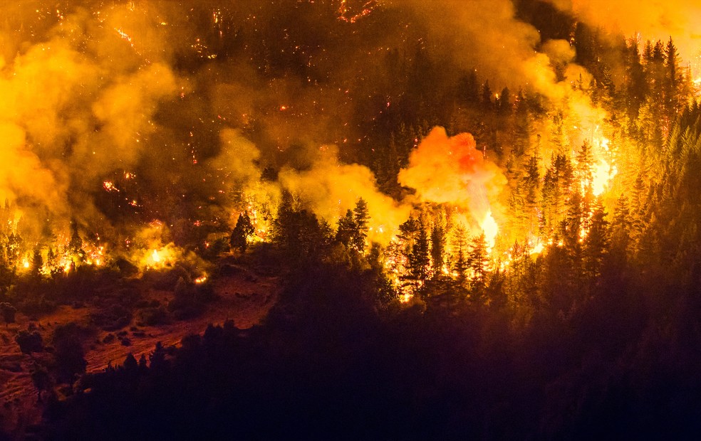 Incêndio de grandes proporções consome Patagônia argentina em janeiro de 2026. — Foto: Martin Levicoy/AFP