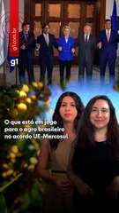 O que está em jogo para o agro brasileiro no acordo UE-Mercosul