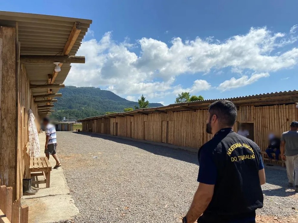 Auditor-fiscal do trabalho é responsável por fiscalizar se as normas trabalhistas estão sendo cumpridas — Foto: AFT/ Divulgação