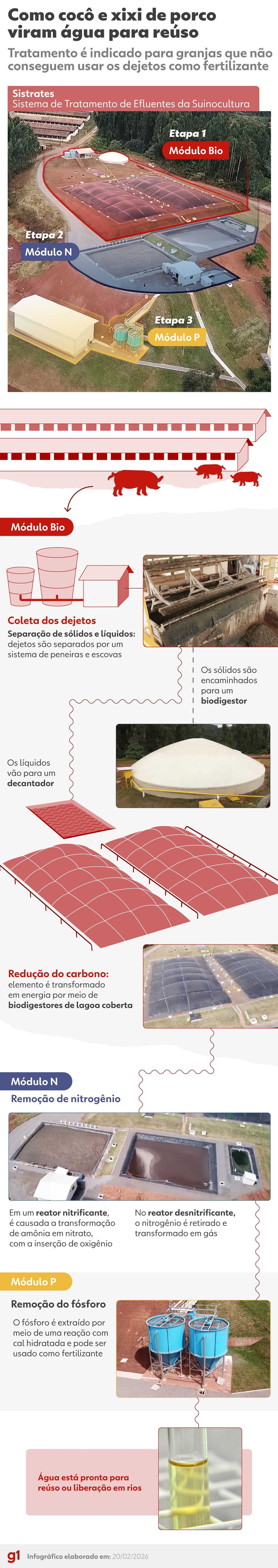 Como cocô e xixi de porco viram água para reúso — Foto: Arte/g1