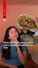 Pênis do boi vira petisco para pets e é prato afrodisíaco na Ásia