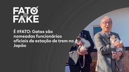 É #FATO: Gatas são nomeadas funcionárias oficiais de estação de trem no Japão