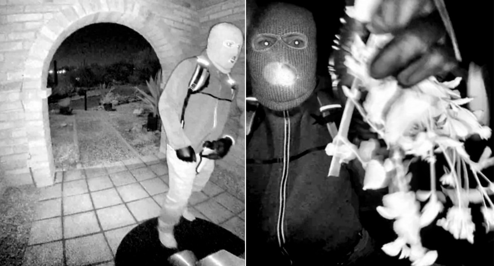 Suspeito do sequestro da mãe de apresentadora de TV dos EUA Savannah Guthrie — Foto: X / Reprodução