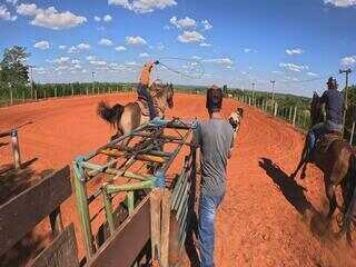 Garoto apaixonado por cavalos coleciona premiações em provas de laço
