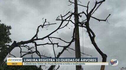 Limeira registra chuvas intensas no fim de janeiro