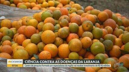 Piracicaba recebe novo centro de pesquisa para combater maior praga da citricultura