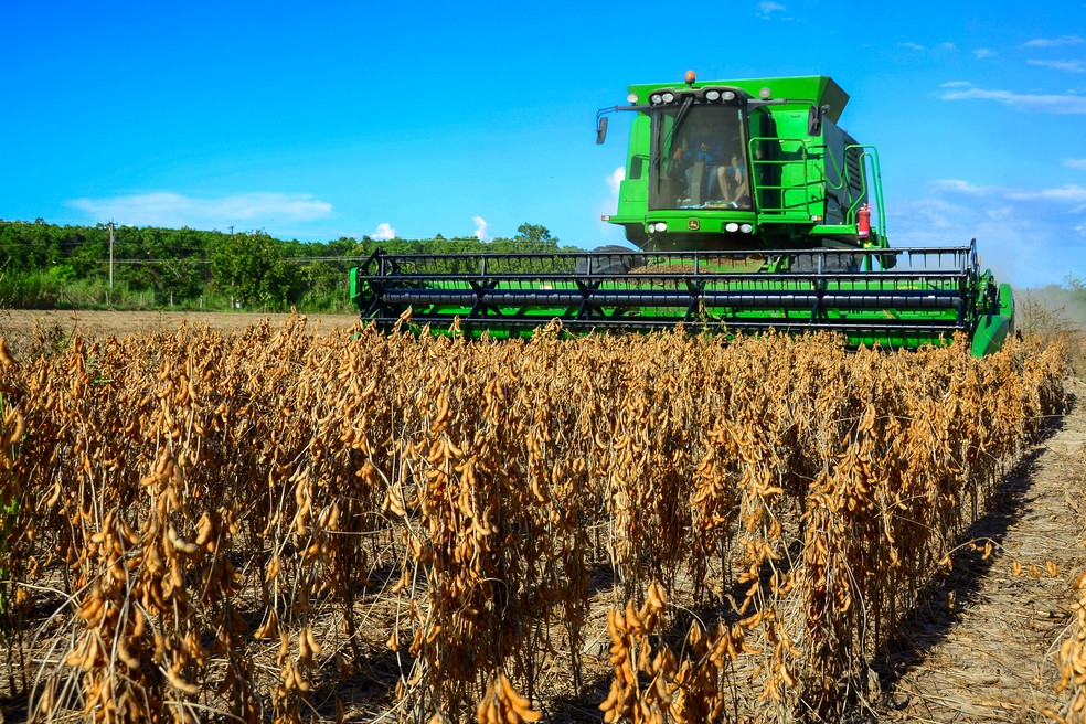 No ano do tarifaço de Trump, pedidos de falência de agricultores crescem quase 50% em 2025 nos EUA — Foto: Willam Roth/Secom-RR