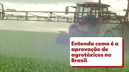Entenda como é a aprovação de agrotóxicos no Brasil