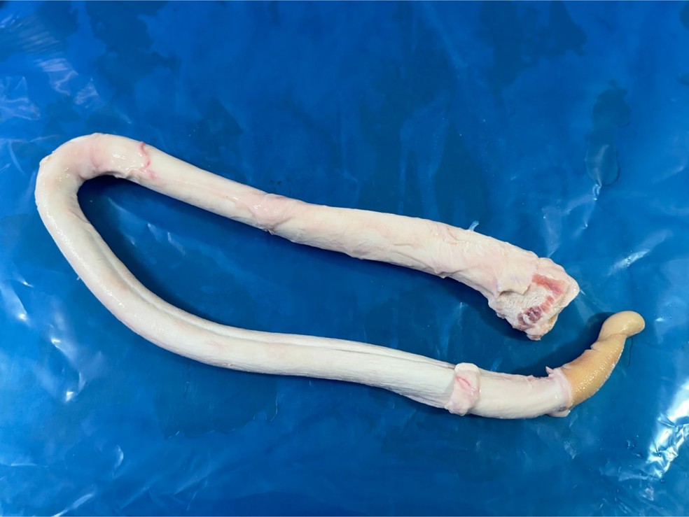 Vergalho bovino cru — Foto: Divulgação / Sul Beef