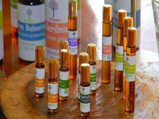 Plantas aromáticas são cultivadas para produção de óleos essenciais