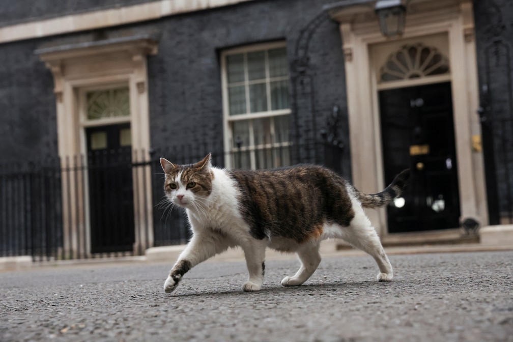 Larry, o gato, caminha do lado de fora da 10 Downing Street, em Londres, Grã-Bretanha — Foto: REUTERS/Phil Noble