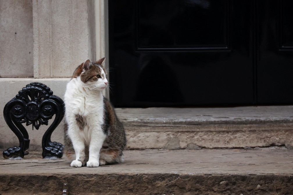  — Foto: REUTERS/Phil Noble