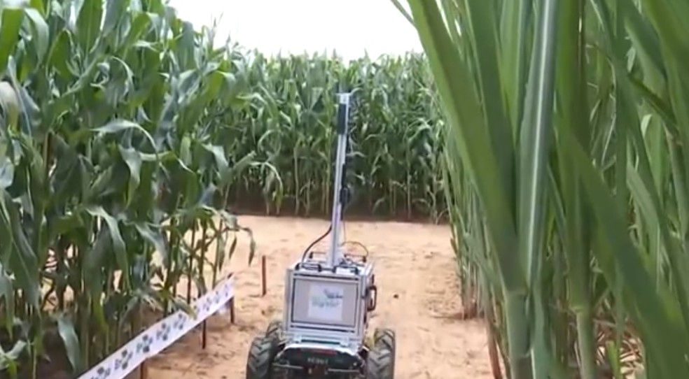 Robô em fase de testes da Embrapa que confere a lavoura com inteligência artifical é apresentada durante Coplacampo em Piracicaba — Foto: Reprodução/EPTV