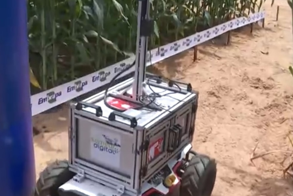 Robô desenvolvido pela Embrapa anda sozinho e confere a lavoura com inteligência artifical — Foto: Reprodução/EPTV